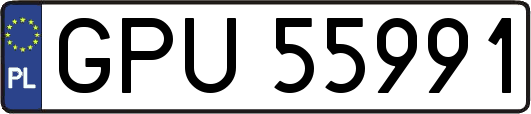 GPU55991