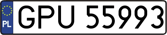 GPU55993
