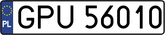 GPU56010