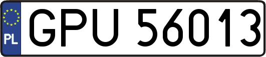 GPU56013