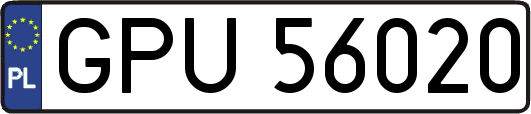GPU56020