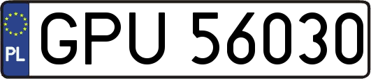 GPU56030