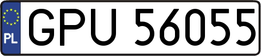 GPU56055