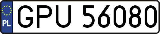 GPU56080