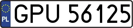 GPU56125