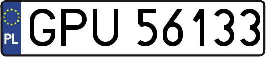 GPU56133
