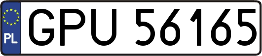 GPU56165