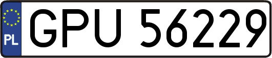 GPU56229