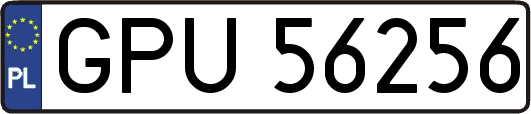 GPU56256