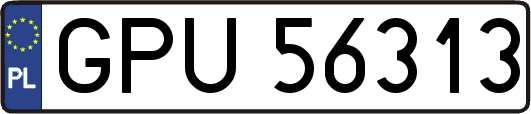 GPU56313