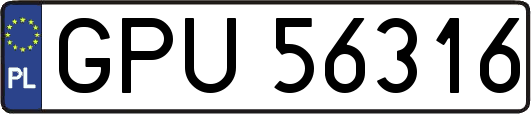 GPU56316
