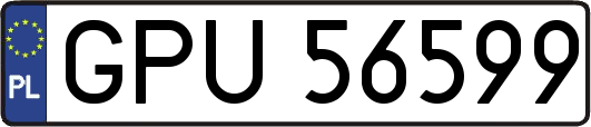 GPU56599