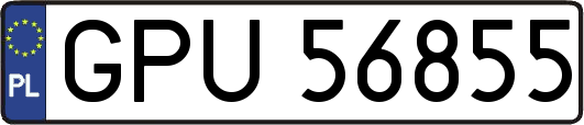 GPU56855