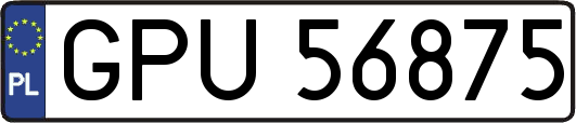 GPU56875