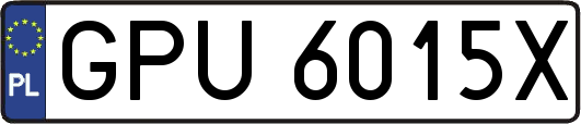 GPU6015X