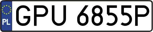 GPU6855P