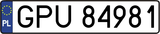 GPU84981