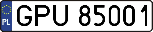 GPU85001