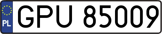 GPU85009