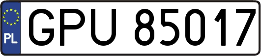 GPU85017
