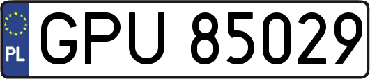 GPU85029