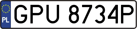 GPU8734P