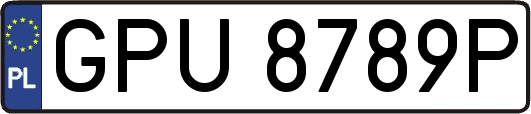GPU8789P