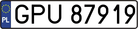 GPU87919
