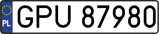 GPU87980