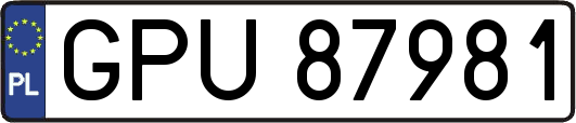 GPU87981