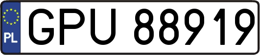 GPU88919
