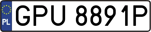 GPU8891P