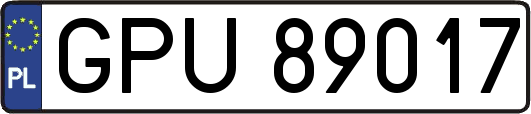 GPU89017