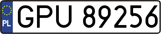 GPU89256