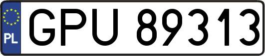 GPU89313