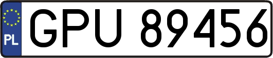 GPU89456