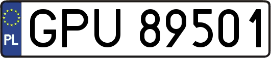 GPU89501