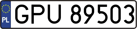 GPU89503
