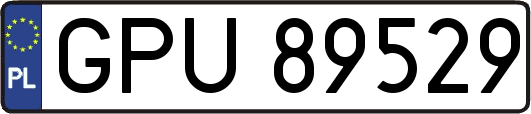 GPU89529