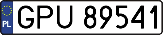 GPU89541