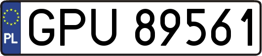 GPU89561