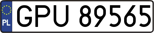 GPU89565