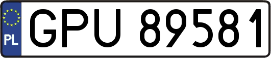 GPU89581