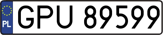 GPU89599