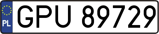GPU89729