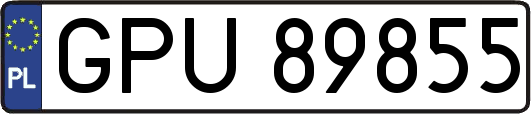 GPU89855
