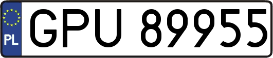 GPU89955