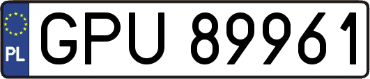 GPU89961