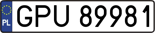 GPU89981