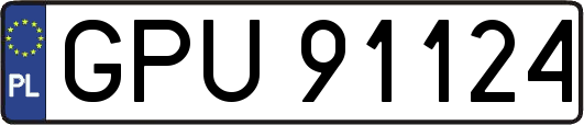 GPU91124